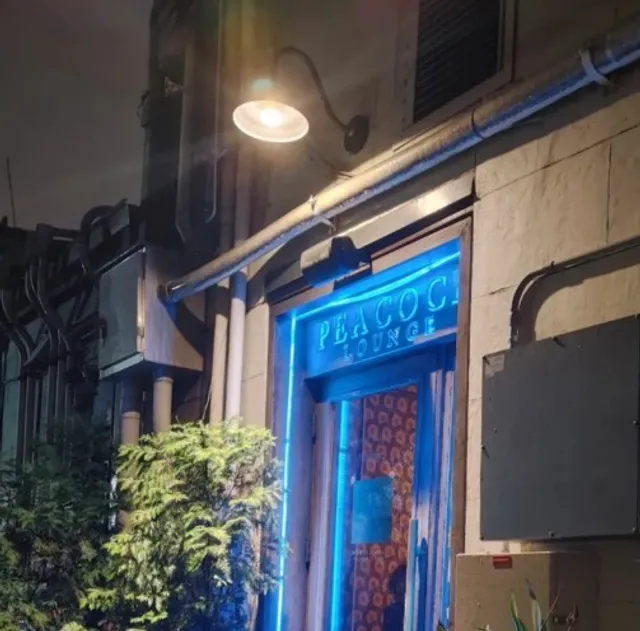 🏨 Peacock Lounge – A Hidden Gem for Top-Tier Cocktails in Savannah