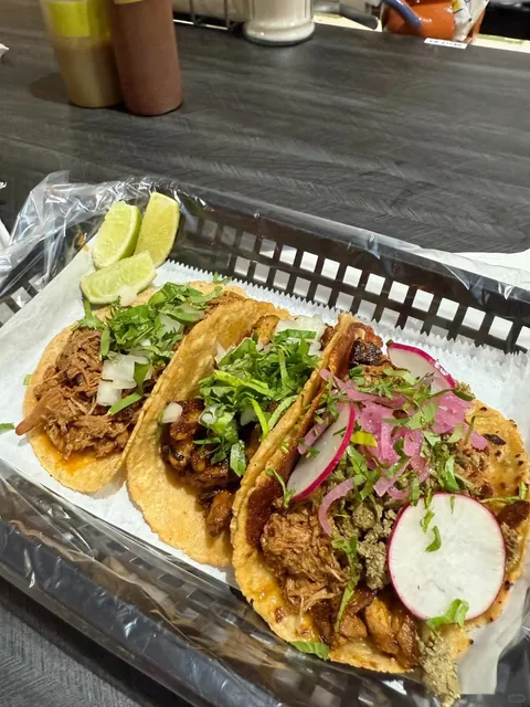 Big Appetite Strikes Chicago — Pizza, Steak & Pasta 🍝