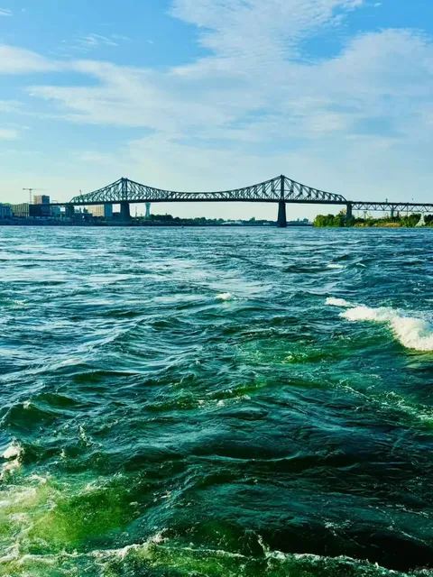 🇨🇦 Montreal | Free Ferry Guide for Summer Fun! 🚢☀️