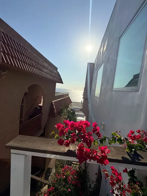 LA｜Geoffrey's in Malibu + Sunset Blvd 🌅