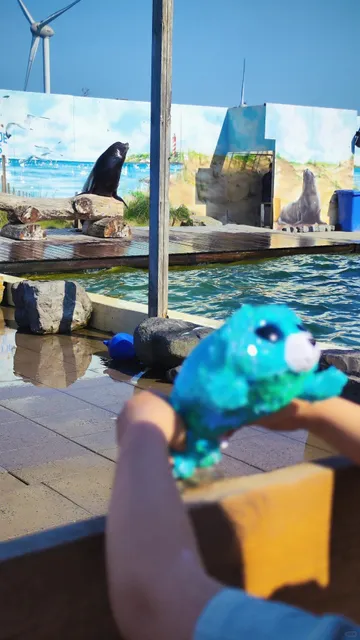 🇳🇱 Exploring the Famous Dutch Delta Works: A Fun-Filled Adventure!