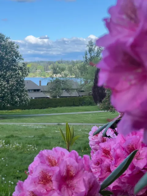 20-Minute Urban Escape: My Hidden Gem Park in East Seattle 🇮🇹​​