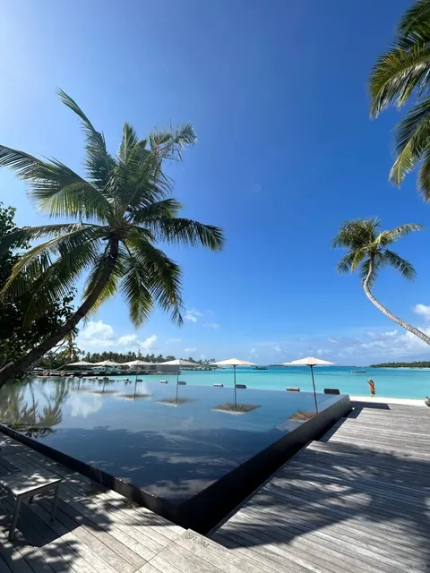 🌴 Maldives Trip Report: How to Save BIG!