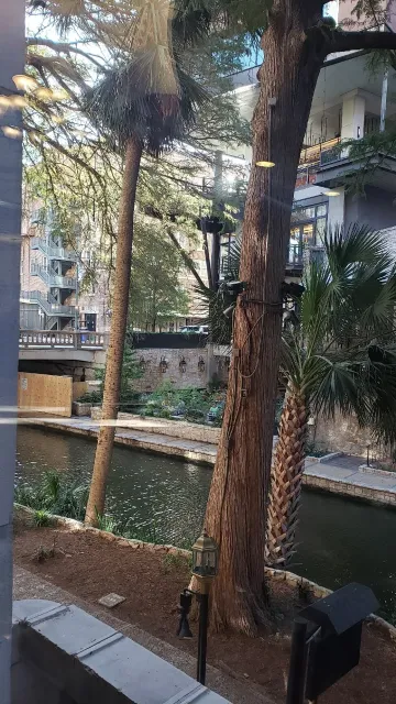 Absolutely Fantastic! 🏨✨