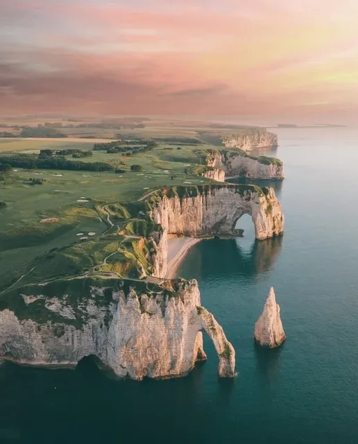 Southern France｜Dive into Nice’s "Jelly Sea" This Summer 🌞