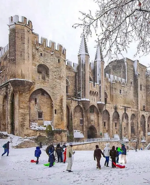 The Heart of Provence｜Avignon, France 🇫🇷✨