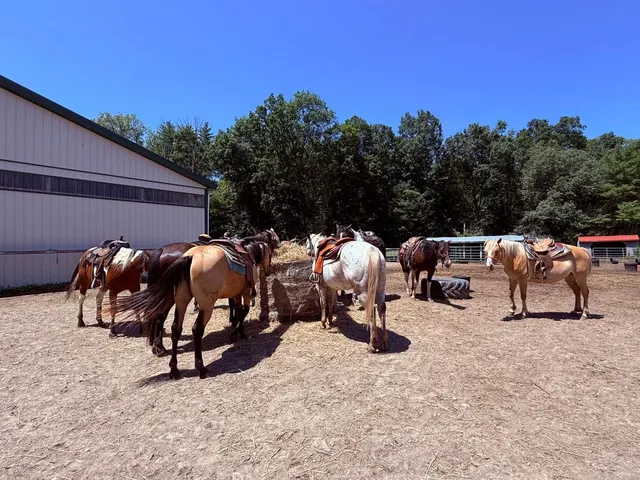 Horseback Riding at Serene Horse Ranch in New Jersey