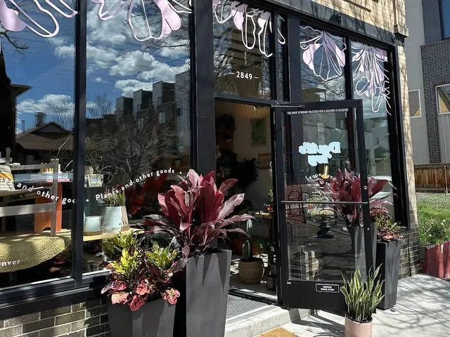 ✨ A Plant Lover’s First Step When Traveling｜Hidden Gems in Denver