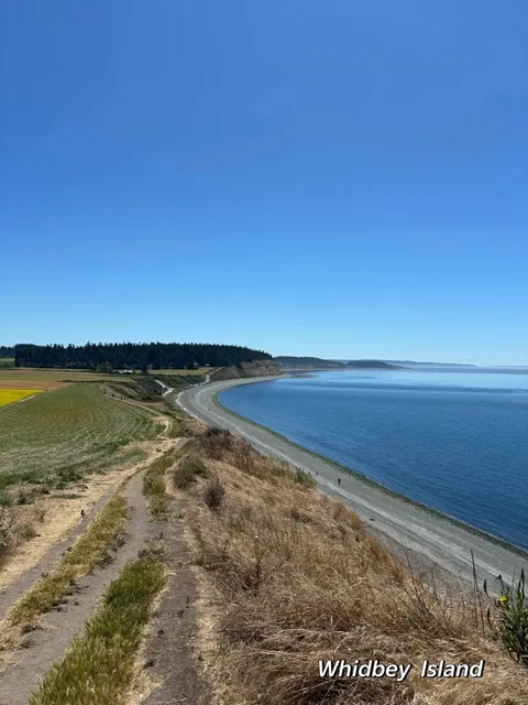 When Friends Visit Seattle, Here's What I Take Them To Do 🌟