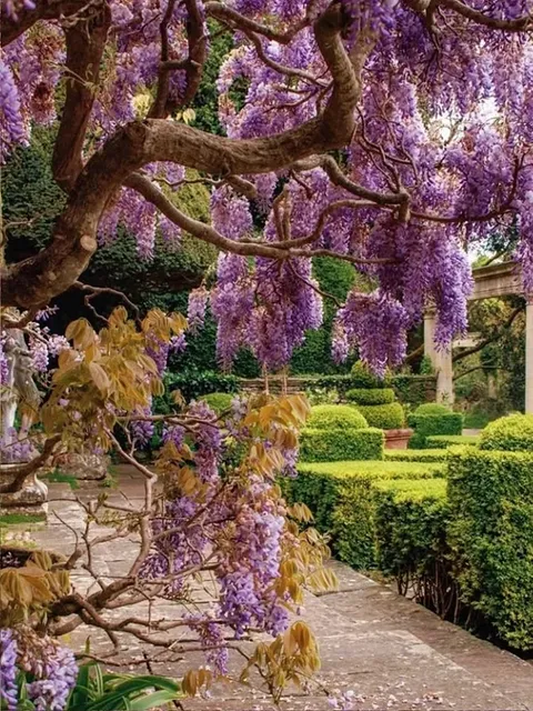 The Hidden Manor in the British Countryside — Iford Manor