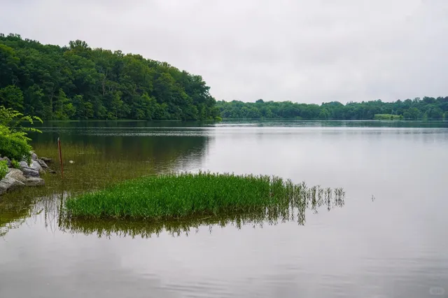 Great Washington Weekend Destination: Black Hill State Park 🏞️🚣♀️