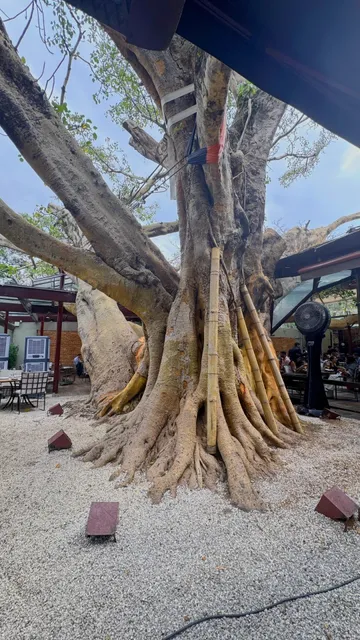 🇧🇷 São Paulo Travel Diary 📷📝