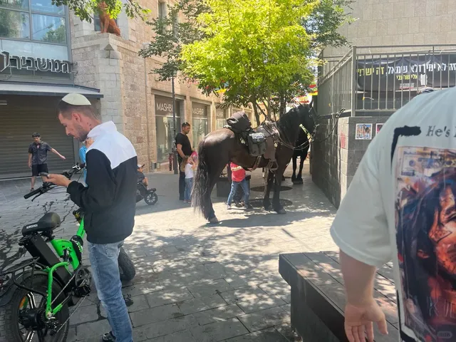 Jerusalem · June 17, 2025 🗓️