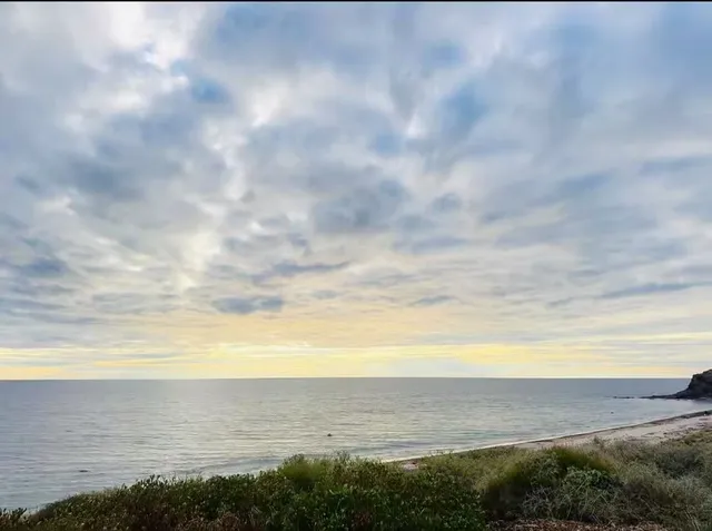 A 5-day trip to Adelaide🪁