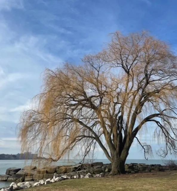 🏞️ Lake Erie & Cleveland | A Dynamic Lakeside Metropolis
