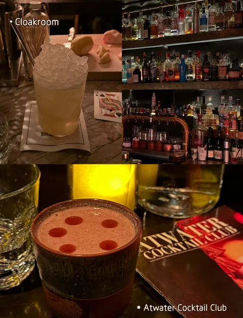 🥂 Montreal's Top 50 Hidden Bars Guide | Behind These Doors Lie Magic