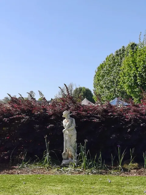 Toowoomba Carnival of Flowers: Australia's Blooming Spectacle！🌸