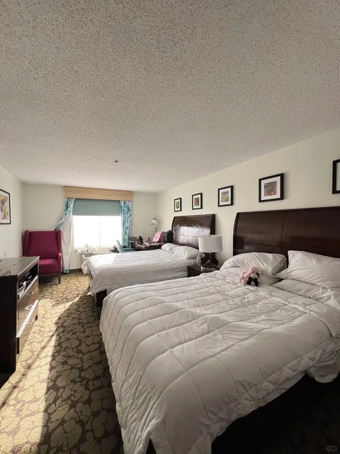 Visiting LA? Bookmark This Super Affordable Hilton Hotel! 🏨💥