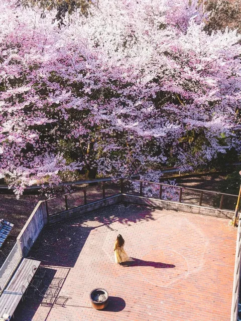  🏮👋 Must-Visit Spots in Kyoto - Hello Fellow Travelers!