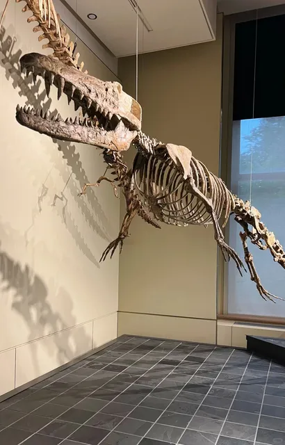 A 3-Day, 2-Night Self-Drive Guide to Ottawa 🇨🇦🚗