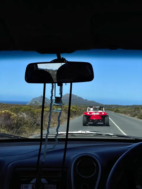 🇿🇦 SZA-Worthy Album Covers… in Africa?!