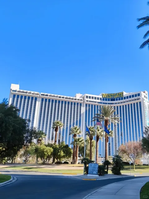 Come to Las Vegas on a Budget? This Hotel Is a Must-Try! 💸🎰