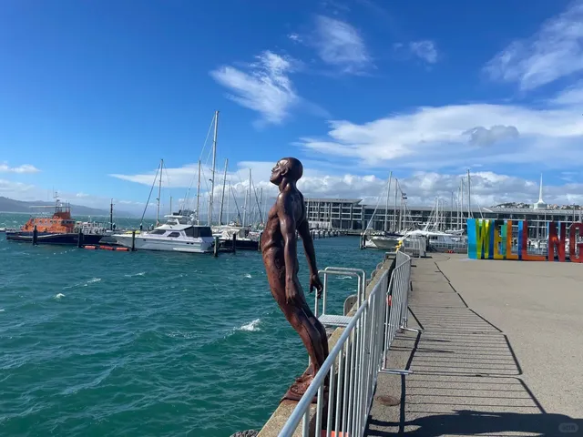 🇳🇿 Wellington City Walk | Explore on Foot! 🚶