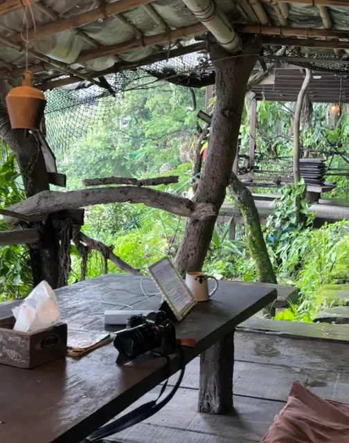 Hiding from the Rain with Notes of a Crocodile 🌧️