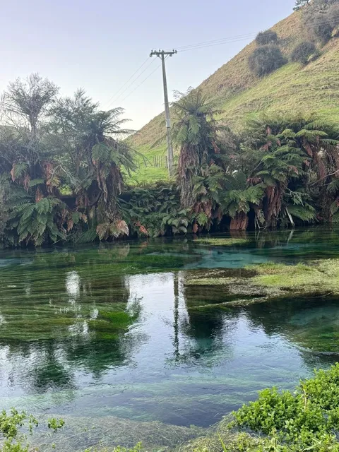 🇳🇿 North Island NZ | 3-Day Taupo Getaway Guide 🌟