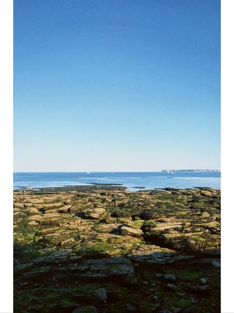 The English Riviera - Torquay