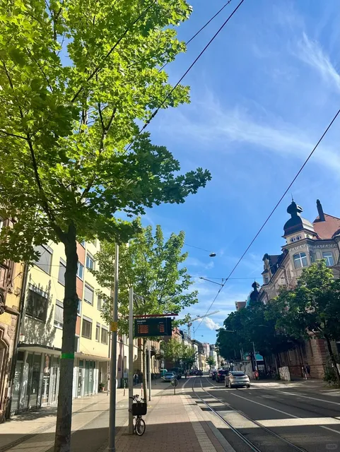 🇩🇪 Freiburg Housing Guide: How I Found My Dream Apartment!