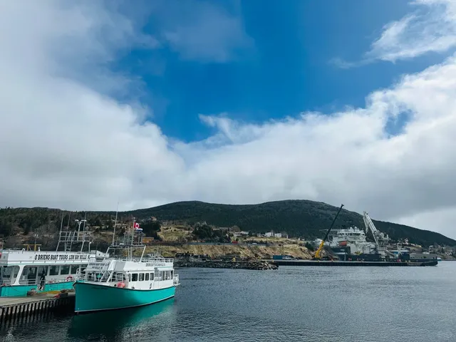 🇨🇦 St. John's Road Trip Part 2: Puffin Adventure!