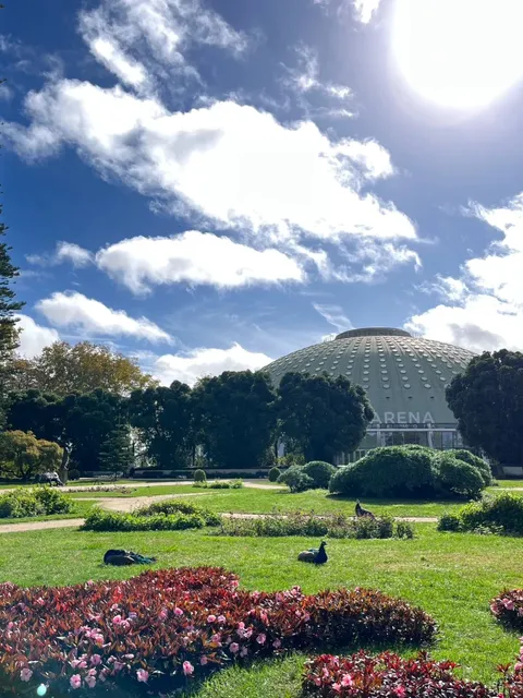 Porto Park Share | Up Close and Personal with Peacocks 🦚