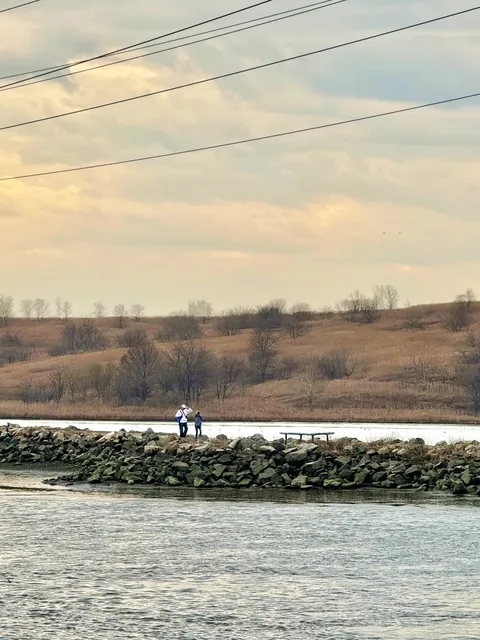 Richard W. DeKorte Park: A Serene Wetland Escape Near NYC 🌿🦆
