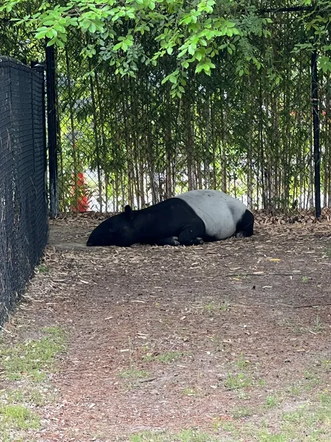 Virginia Beach 3-Day Trip｜Day 2 & 3 Full Recap