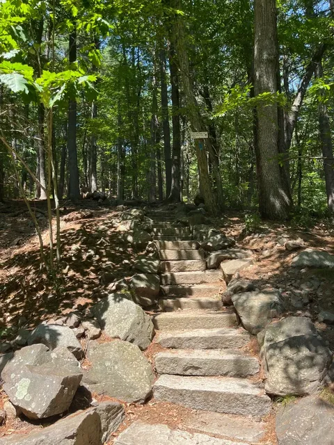 Blue Hills Reservation - Hikes, Lakes & Foodie Pit Stops 🥾🌭  