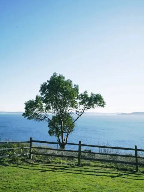 Seattle | Mountain and Sunset Views