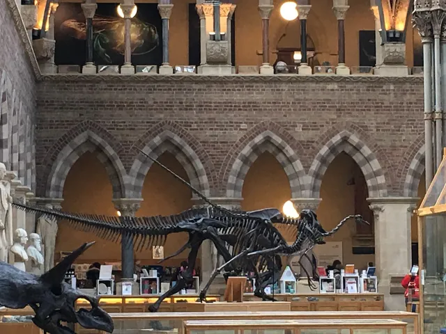 🇬🇧 Mission Accomplished: I Slept in Hogwarts! 🏰⚡