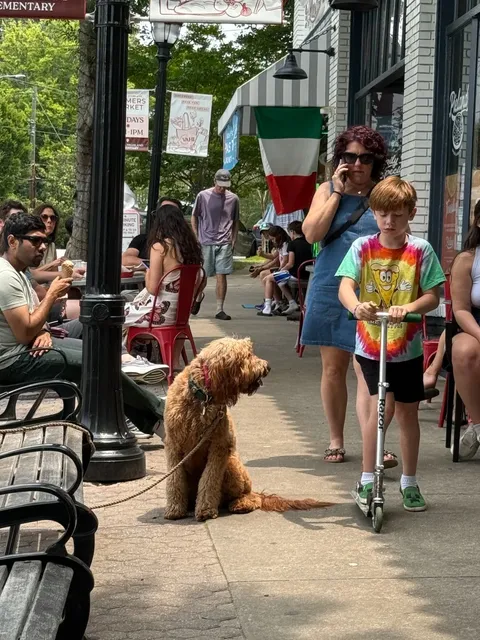 Kinship Butcher & Sundry 🥩 | A Cozy Triple-Threat Spot in Atlanta!