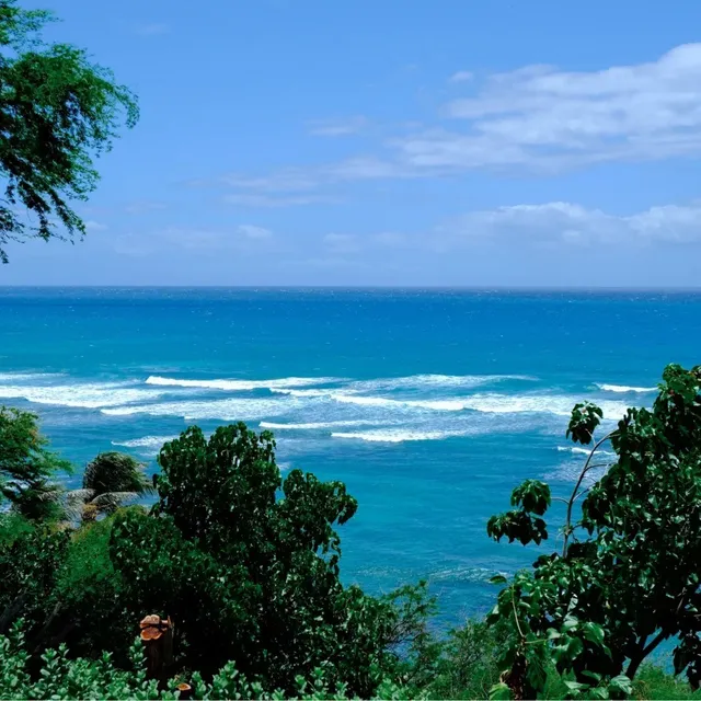 🏝️💸 Honolulu: America’s “Little Hainan” – Budget Travel Hacks 💸🏝️