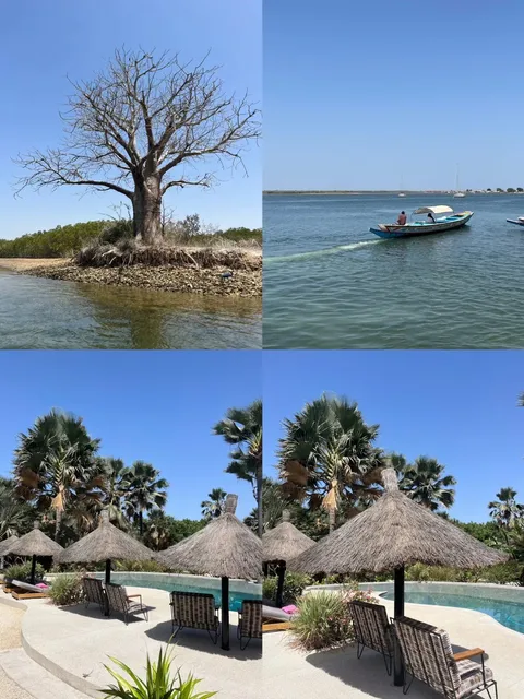 🇸🇳 Dakar & Beyond: Ultimate Adventure Guide 🏄♂️🕌