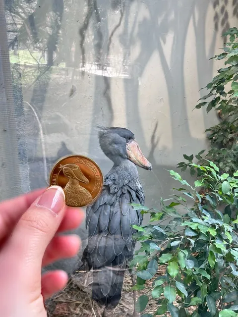 🇨🇿 Prague Zoo | Ultimate Guide for Student Backpackers! 🎒🐘