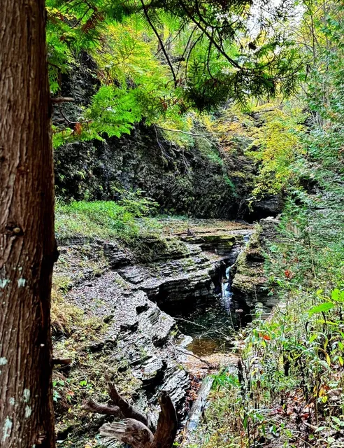 ​​🐕‍🦺 Dog-Friendly Hiking at Watkins Glen State Park! 🌿​​