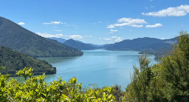 🇳🇿 Picton: A Hidden Gem for Outdoor Lovers!