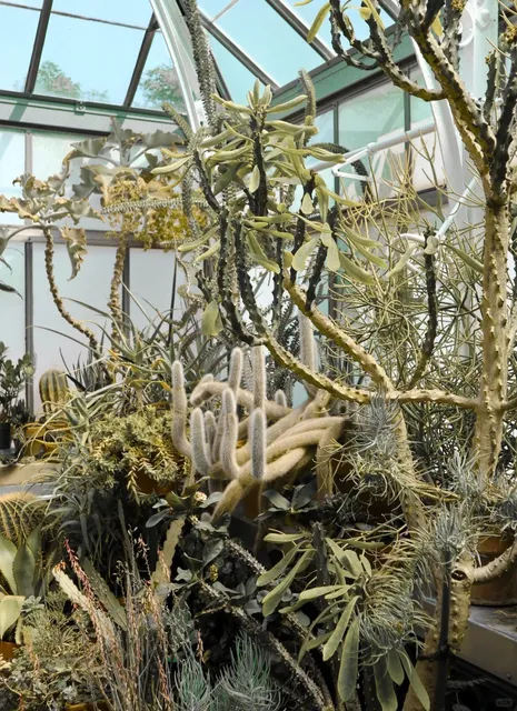 🚗 Charlotte 3-Day Self-Driving Travel Guide ✨