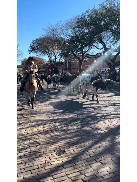 🇺🇸 Dallas | Fort Worth Must-Visit Spot: Stockyards 🤠