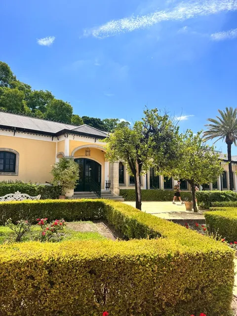 🇪🇸 Found My Favorite Spanish Town: Jerez de la Frontera!