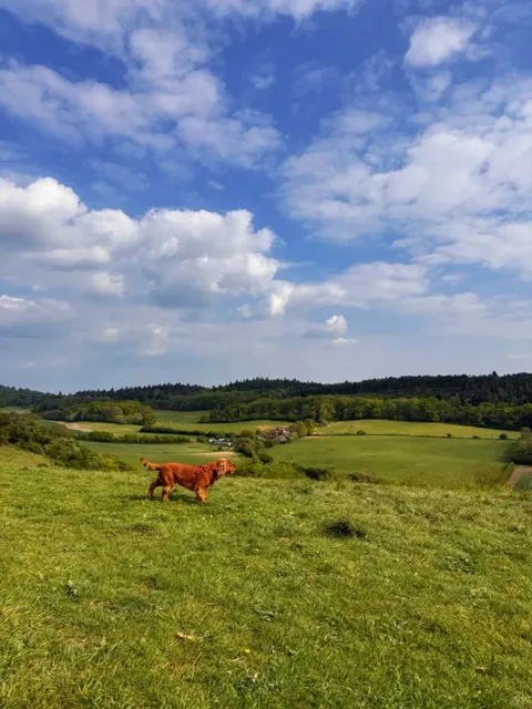 🇬🇧 The Most Charming Day Trip from London: Guildford! 🌿✨