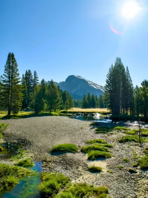 Yosemite National Park: A Nature Lover’s Paradise Near SF! 🌲🏞️