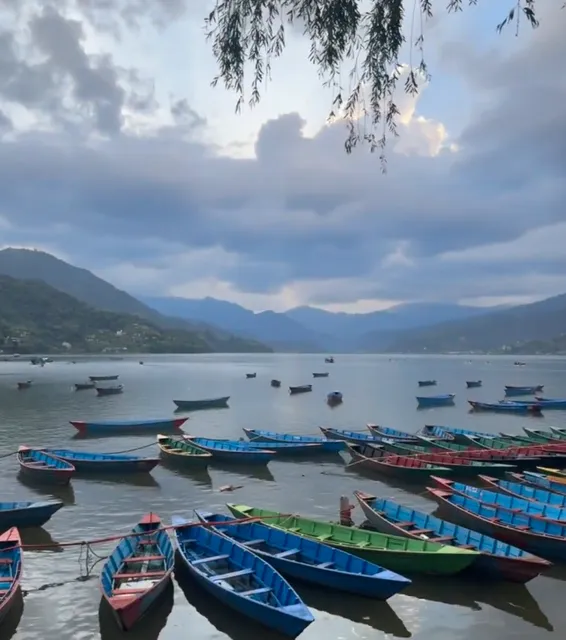 6 Spots Tried & Tested—Hits, Misses, and Honest Reviews